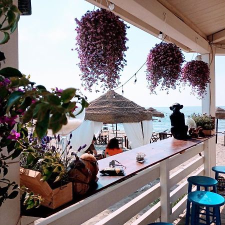 B&B Purple Italy ฟิวมิชีโน ภายนอก รูปภาพ